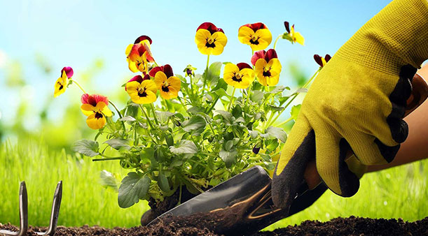 Для чего нужны рабочие перчатки?